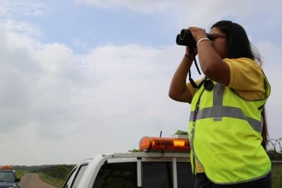 El Aeropuerto Internacional de Tocumen emite alerta preventiva por temporada de aves migratorias 