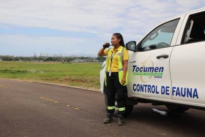 El Aeropuerto Internacional de Tocumen refuerza medidas preventivas durante la temporada de migración de aves en Panamá